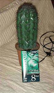 Cactus lamp from Crashdown