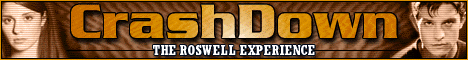 Crashdown.com Banner